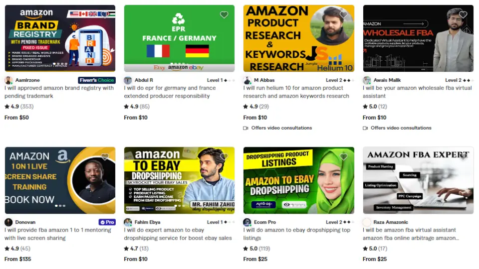 Fiverr Amazon experts