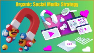 Organic Social Media Strategy