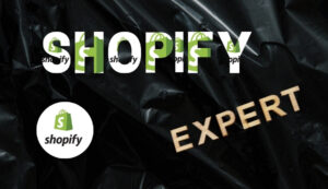 hire shopify expert